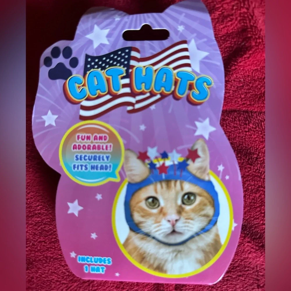 Bundle 4 Pack Fun Kitty Hats All Occasions NEW